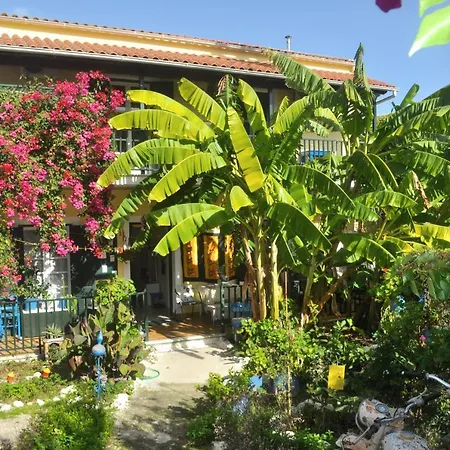Pension Telis Und Brigitte 1 Πέλεκας
